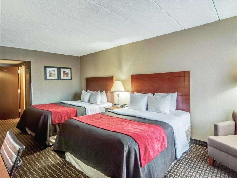 Comfort Inn & Suites Raphine - Lexington Near I-81 And I-64 Buitenkant foto