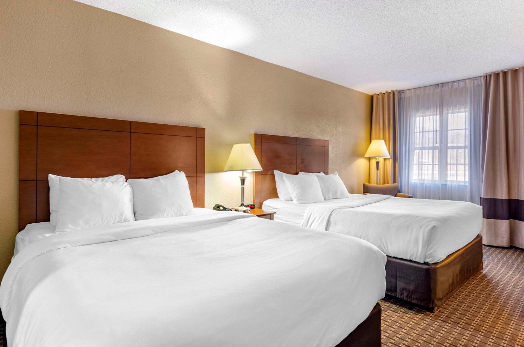 Comfort Inn & Suites Raphine - Lexington Near I-81 And I-64 Buitenkant foto