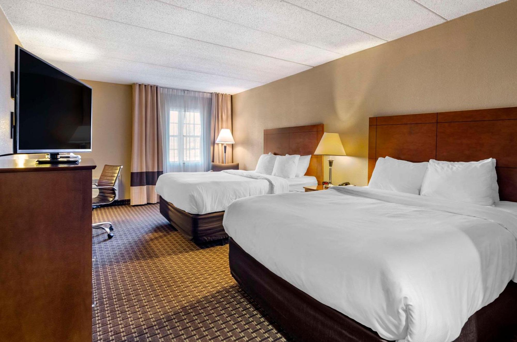 Comfort Inn & Suites Raphine - Lexington Near I-81 And I-64 Buitenkant foto
