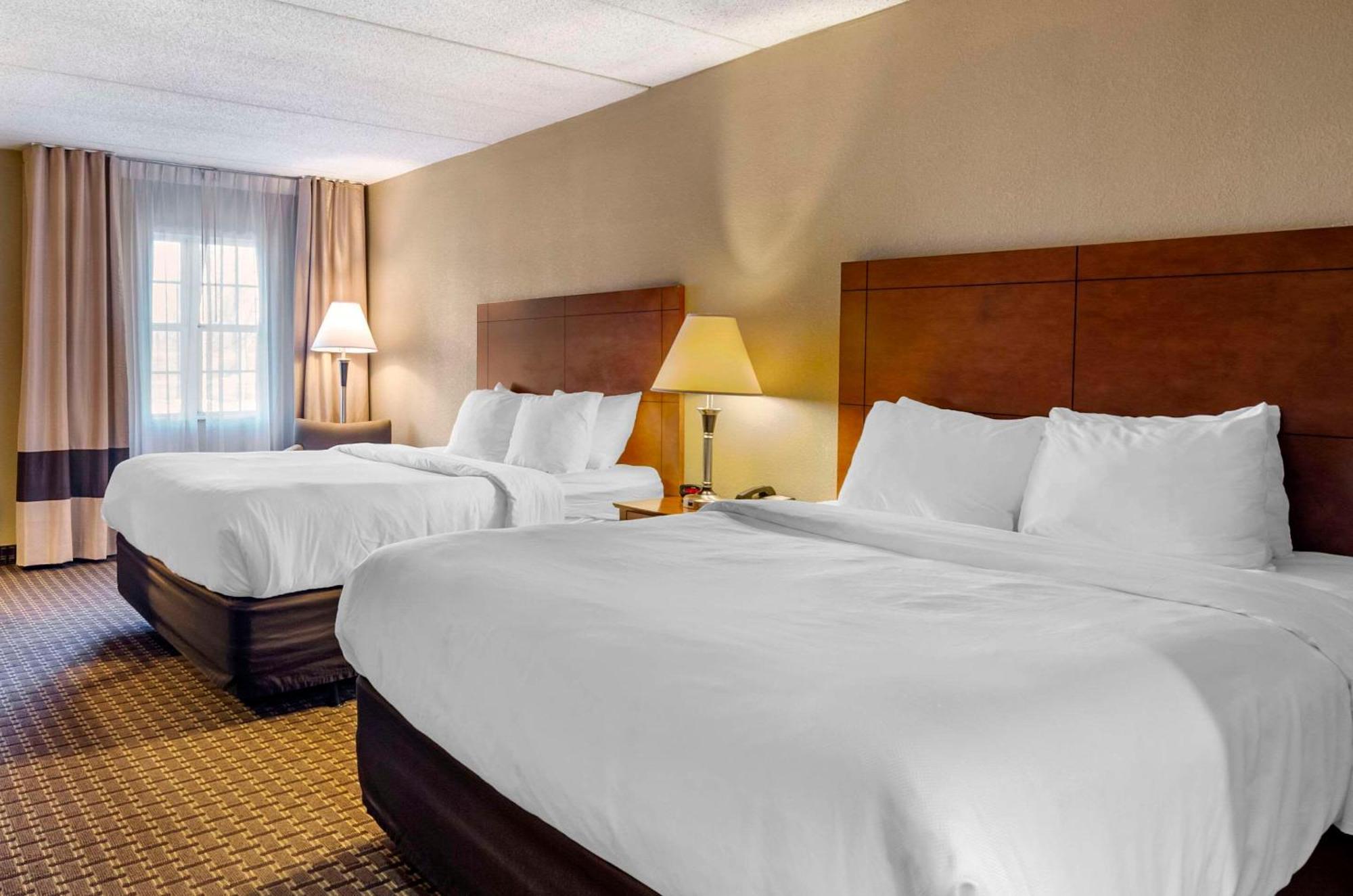 Comfort Inn & Suites Raphine - Lexington Near I-81 And I-64 Buitenkant foto