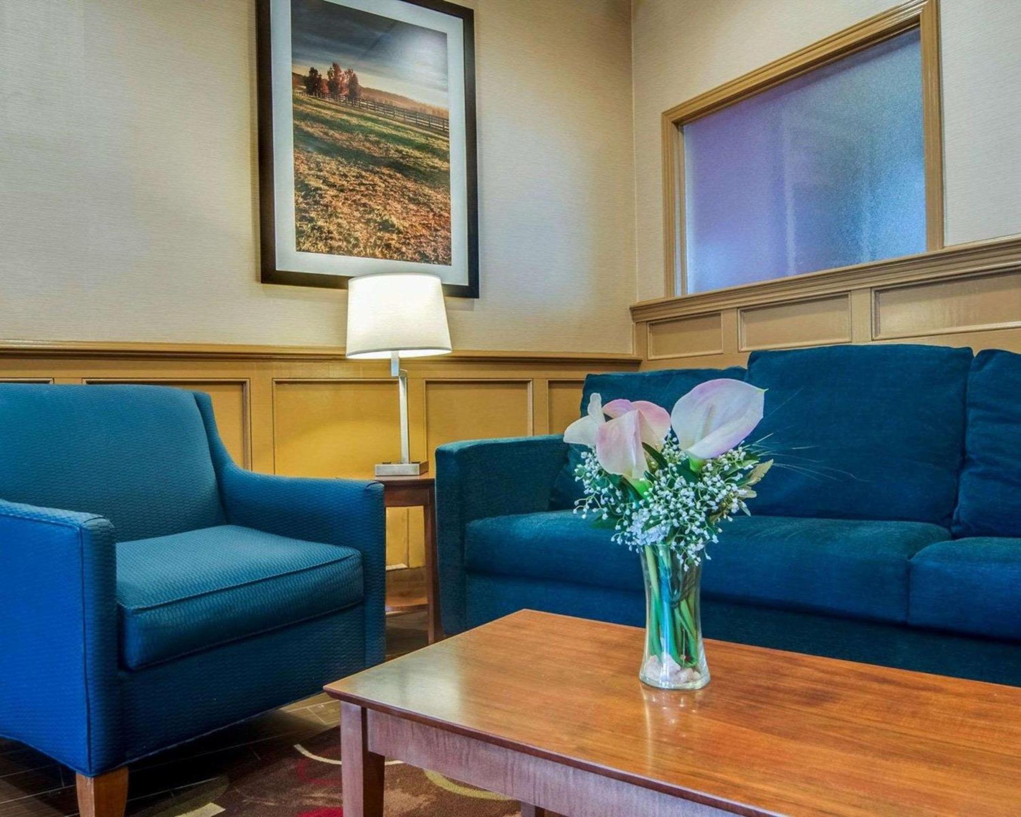 Comfort Inn & Suites Raphine - Lexington Near I-81 And I-64 Buitenkant foto